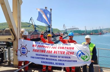 Акцию по борьбе с «удобными» флагами провели на борту судна турецкого владельца, которое зашло в Приморье