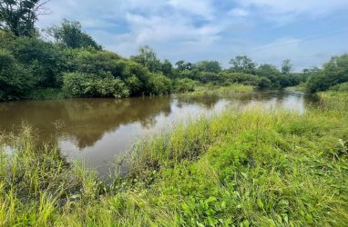 На реке Тамга в Приморье утонул 9-летний мальчик