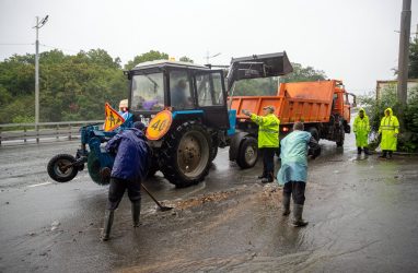 Спецтехника: незаменимые помощники в строительстве, промышленности и сельском хозяйстве