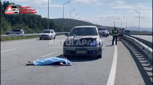 Женщину сбили насмерть во Владивостоке на скоростной трассе (видео)