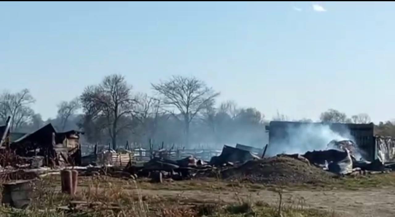 Труп мужчины обнаружили в ходе тушения пожара на ферме в Приморье