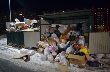 В Приморье 450 тысяч человек не платят за вывоз мусора