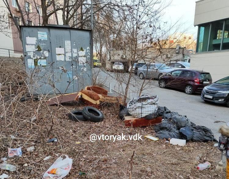 Жители Владивостока жалуются на мусорную свалку у входа в детский сад (фото)