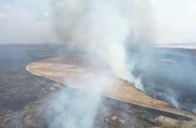 Особый противопожарный режим ввели в Хасанском округе Приморья (подробности)