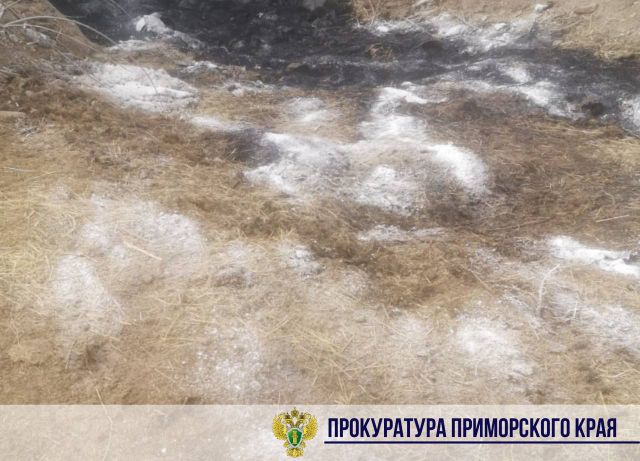 Незаконную свалку частей крупного рогатого скота ликвидировали в Приморье