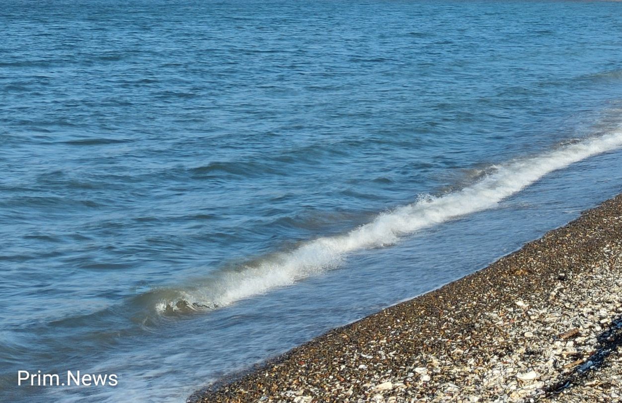 Загрязнение неустановленным веществом обнаружили у берегов Владивостока
