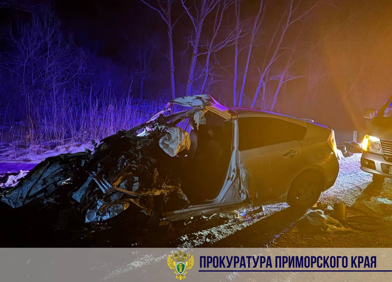 В Приморье лобовое ДТП с большегрузом унесло жизни двух человек (видео, фото)