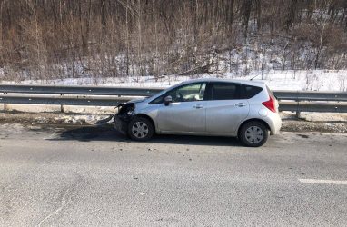 Во Владивостоке на объездной трассе насмерть сбили косулю