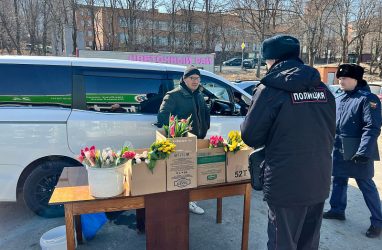 Более 15 тысяч тюльпанов завезли в Приморье к 8 Марта