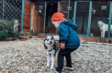 Жительница Приморья Инна Маршалко с помощью соцконтракта открыла зоогостиницу