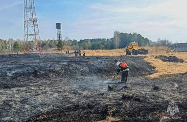 Губернатор Приморья Кожемяко пригрозил жёсткими мерами поджигателям травы