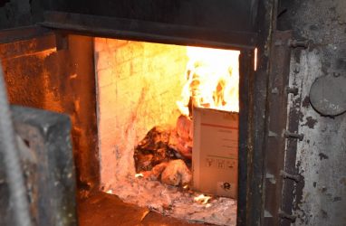 В Приморье уничтожили 1,3 тонны продукции из «Светофоров»