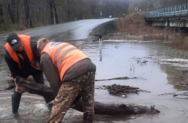 В Приморье фиксируют спад уровня воды (подробности)