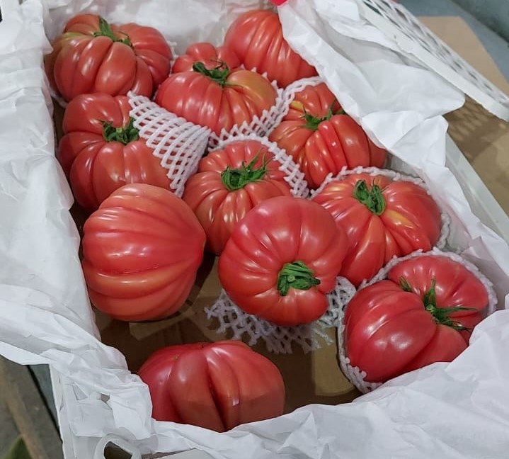 В Приморье уничтожили более восьми тонн заражённых томатов из Китая