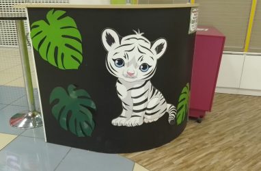 В Приморье намерены упростить предоставление земли под центры содержания зверей