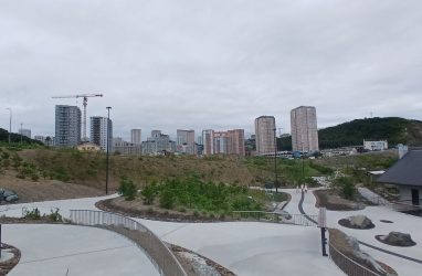 Проект кластера у владивостокского Патрокла перевели под контроль Алексеева