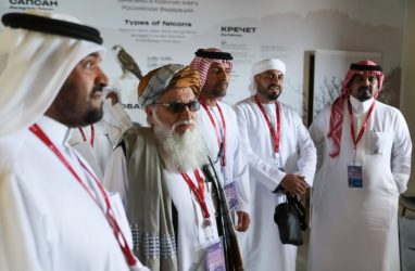 Российские дроны привлекли внимание делегации Афганистана на ВЭФ-2025