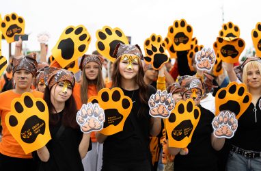 Участниками «Тигриного шествия» во Владивостоке стали более 2500 человек