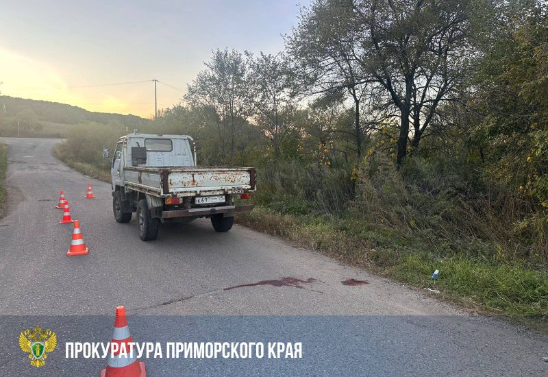 Перевозка детей в кузове грузовика привела к трагедии в Приморье
