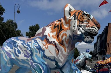 Black Star помог создать несколько «тигриных» арт-объектов для Владивостока