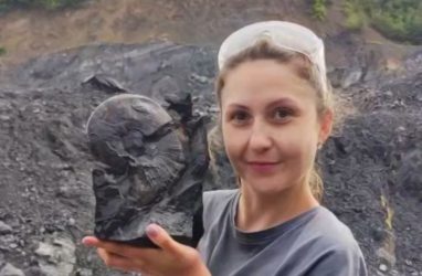 Останки рыбы возрастом около 250 миллионов лет обнаружили в Приморье