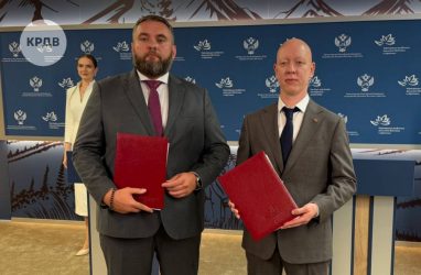 Домокомплекты из бетона будут выпускать в Приморье