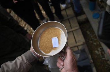 С приморской компании взыскивают 115 млн рублей за незаконную добычу золота