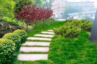 Пустырь в районе «Гайдамака» во Владивостоке озеленят