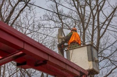 В районе улицы Дубовой во Владивостоке модернизируют ЛЭП