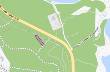 Участок площадью около 7000 кв. м на острове Русский отвели под стоянку