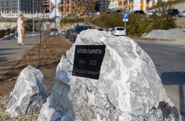 Аллею Памяти высадили на Патрокле во Владивостоке