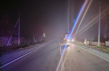 В Приморье сбитого машиной пешехода переехал автобус ПАЗ