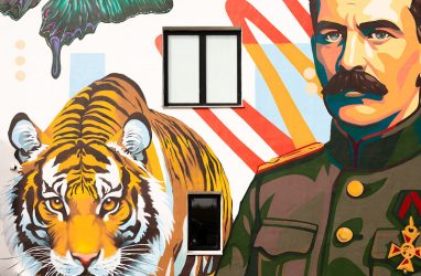 В Приморье недалеко от границы с Китаем попал на видео тигр