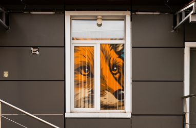 Что влияет на стоимость окон: профиль, фурнитура, монтаж