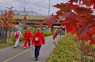 Ходоки из Владивостока с успехом выступили на марафоне в Канаде