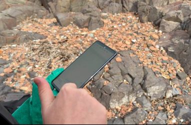 В Приморье вскрыли мошенничество со 120 земельными участками