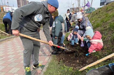 В преддверии Дня отца во Владивостоке высадили абрикосовую аллею