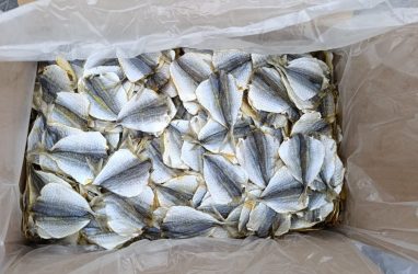 В Приморье не пустили 16 тонн рыбы из Китая, годной до 31 февраля 2027 года