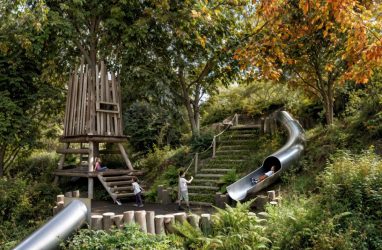 Парк в Снеговой Пади Владивостока оснастят на 49 млн рублей