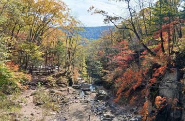 Землетрясение магнитудой 5,5 балла произошло в Хасанском округе Приморья