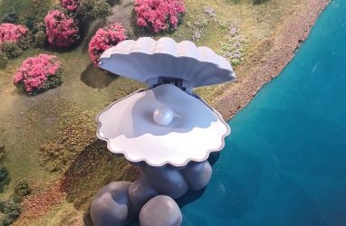 В Приморье выявили крупную партию гребешка с кишечной палочкой