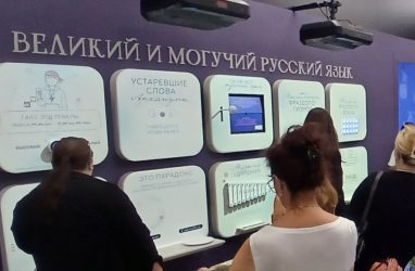 Разговорник заказали для арестованного в Приморье француза Сехили