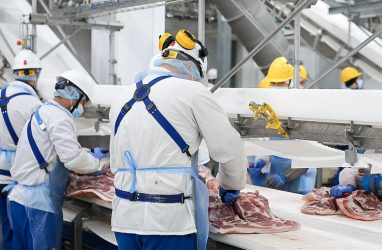 В 2025 году объём производства мяса в Приморье вырос на 34%