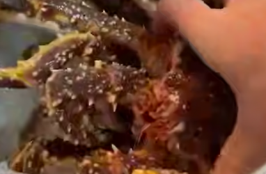 Житель Владивостока поселил в своём холодильнике крабов