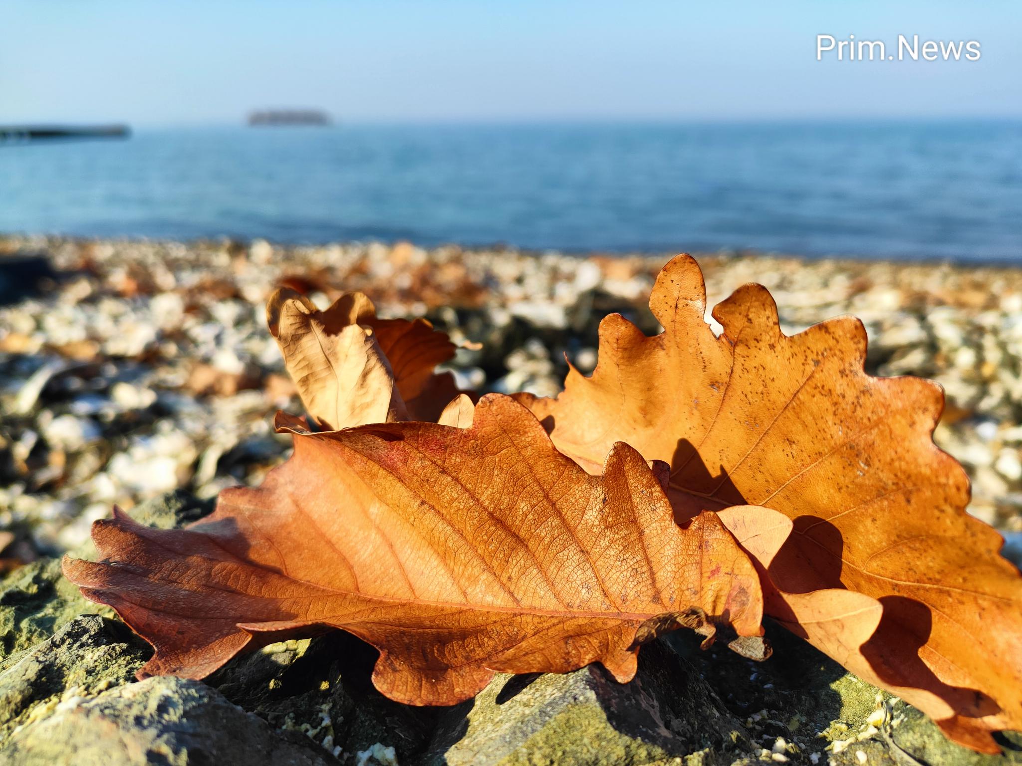 До +14° С прогреется воздух в Приморье 4 ноября