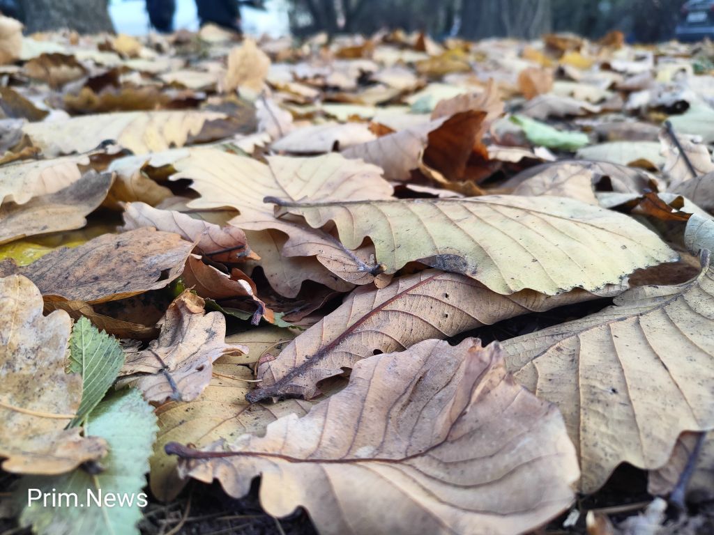 В пятницу в Приморье резко похолодает. Подробности
