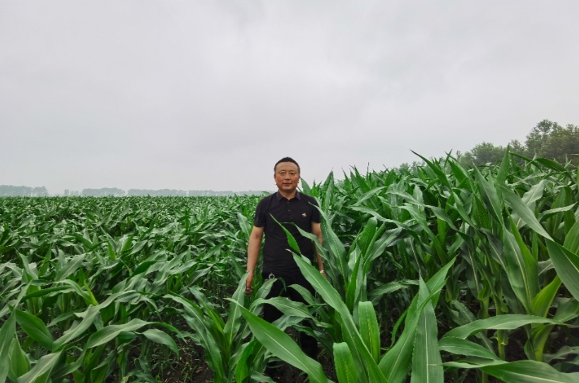 «Моя «Пятилетка 14»: защита «большой панды пахотных земель»