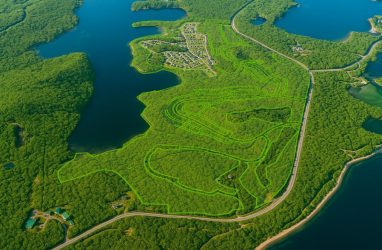 На продажу под застройку выставили 334 га земли на острове Русский