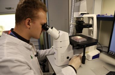 Руководство по правильной настройке и обслуживанию Olympus CKX53