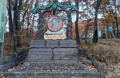 Знаменитый тигр Амур, друг козла Тимура, готовится к зиме (видео)